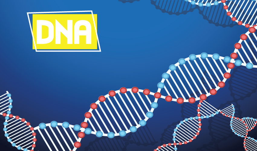 What are DNA and DNA replication?