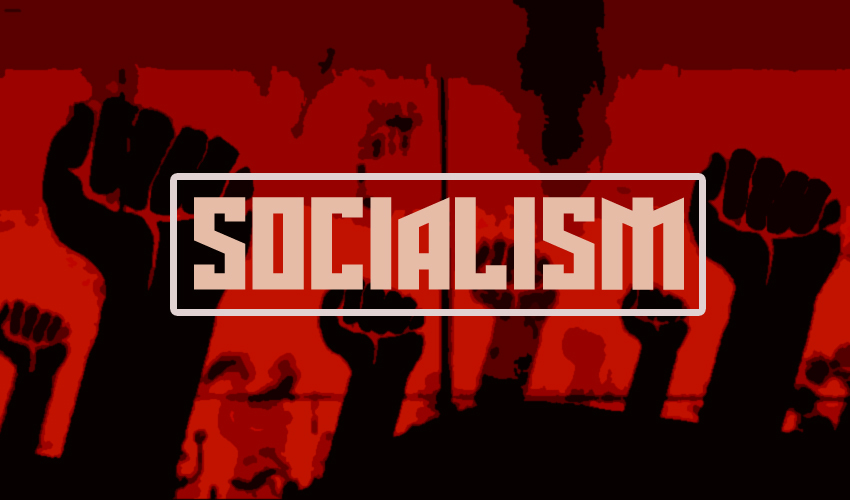 The Basics of Socialism: Definition, Development, and Diversity
