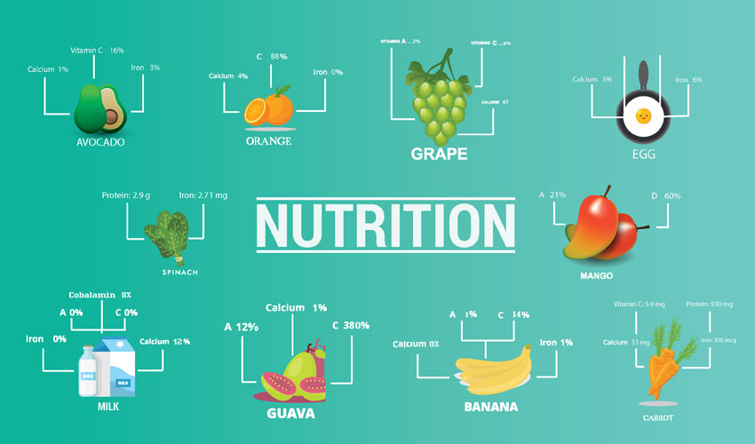 Basic Types of Nutrition with Explanations
